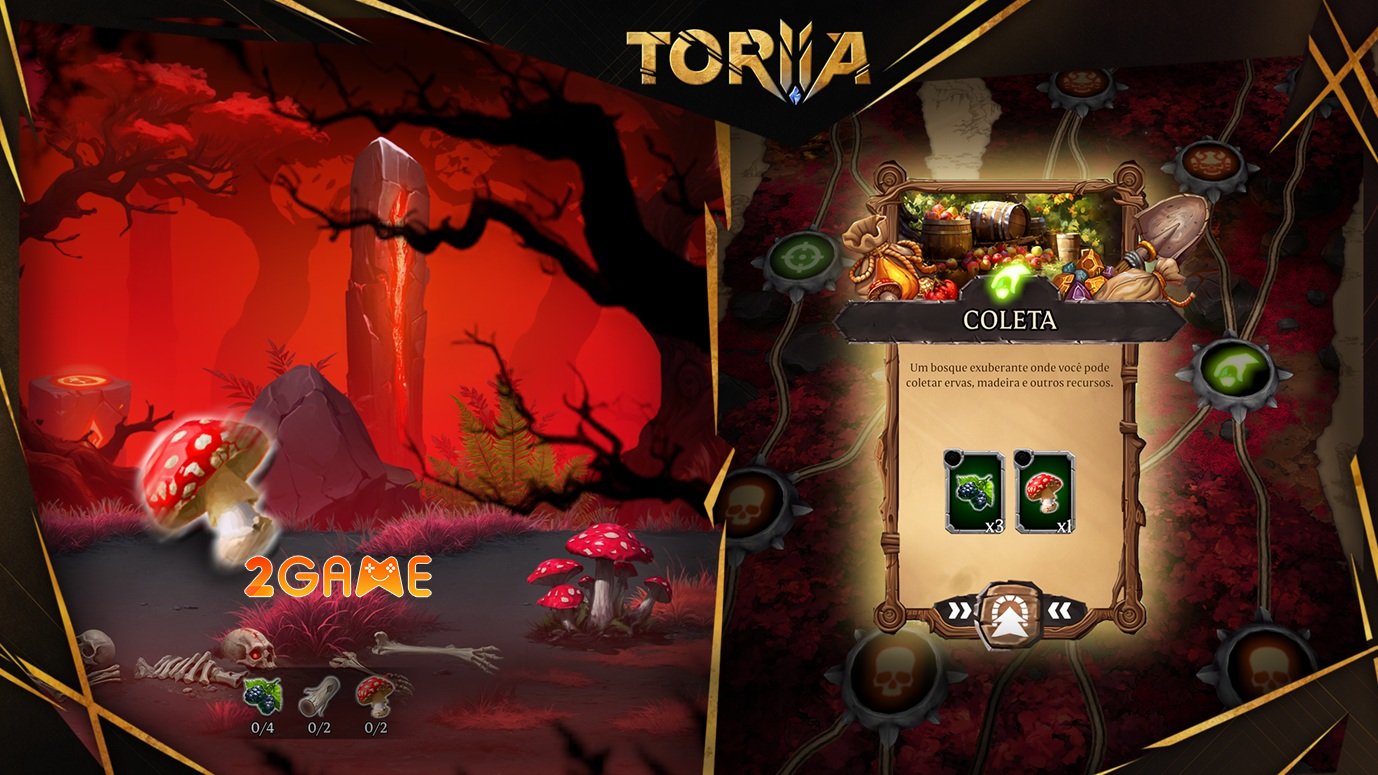toriia-9