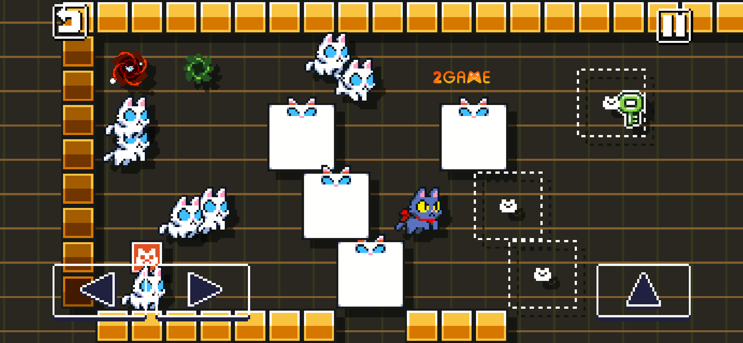 copy-cats-7